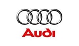 Fubao Reducer partner: audi auto